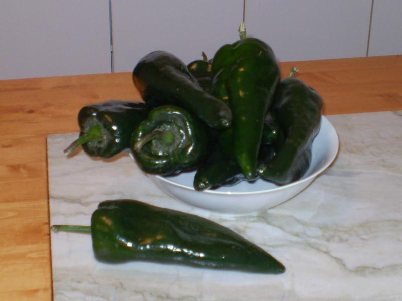 P1030001.JPG